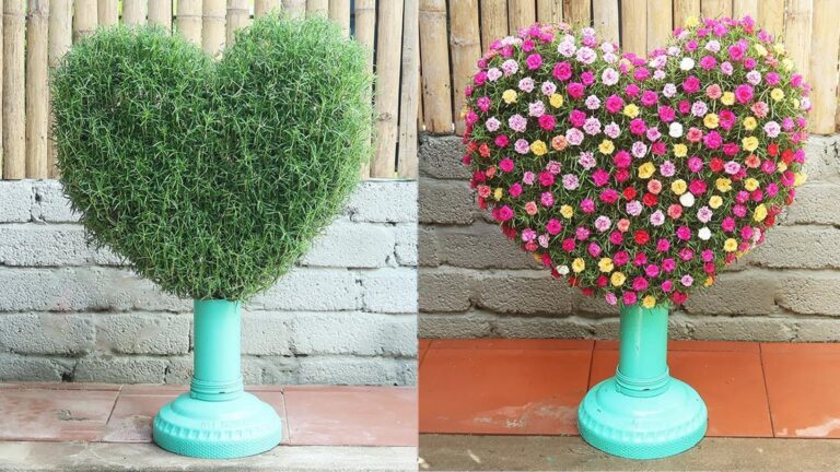 Transformez vos bouteilles en un jardin cœur magique… le secret des Portulacas !