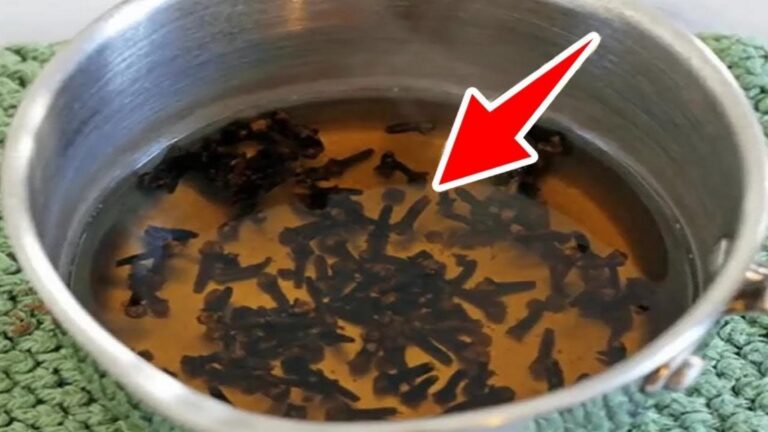 Découvrez comment l&rsquo;eau de clou de girofle peut transformer votre santé…