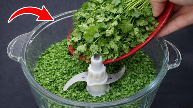 Cette astuce magique permet de conserver la coriandre fraîche des mois…