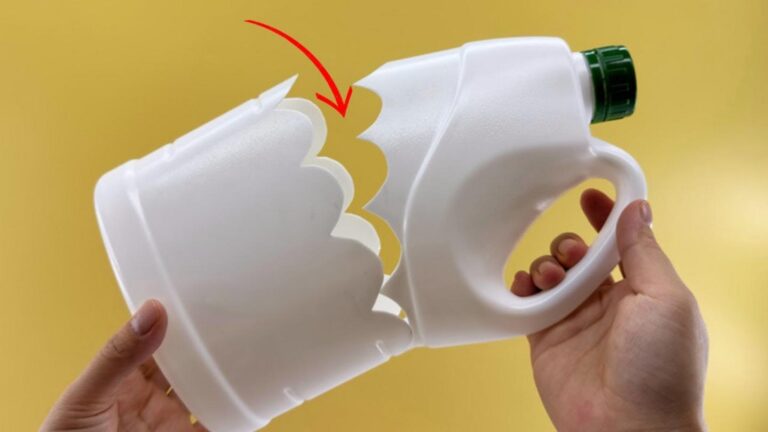 Cette astuce oubliée transforme les bouteilles en trésors pratiques… Découvrez comment !