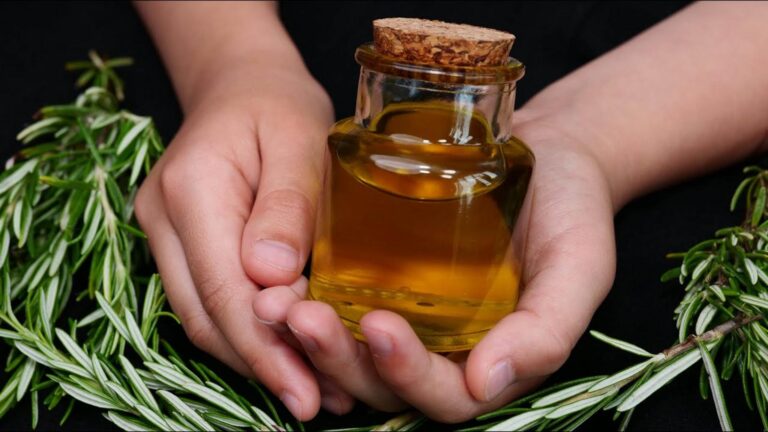 Redécouvrez des jambes éclatantes… Une infusion de romarin efface les veines variqueuses