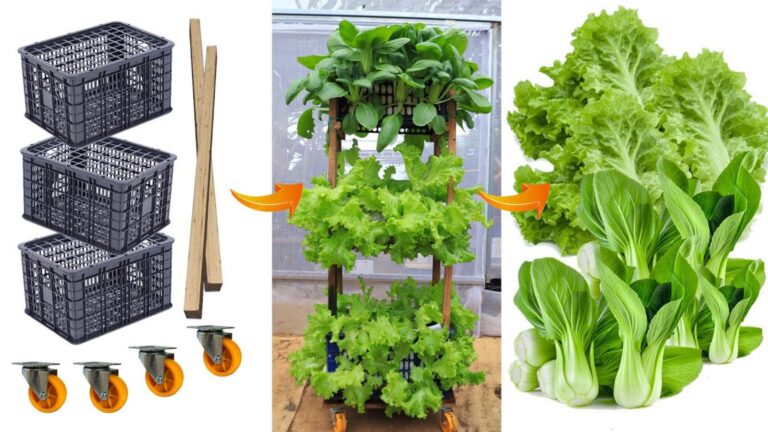 Une vieille astuce pour cultiver un potager sans jardin… Découvrez l&rsquo;incroyable tour
