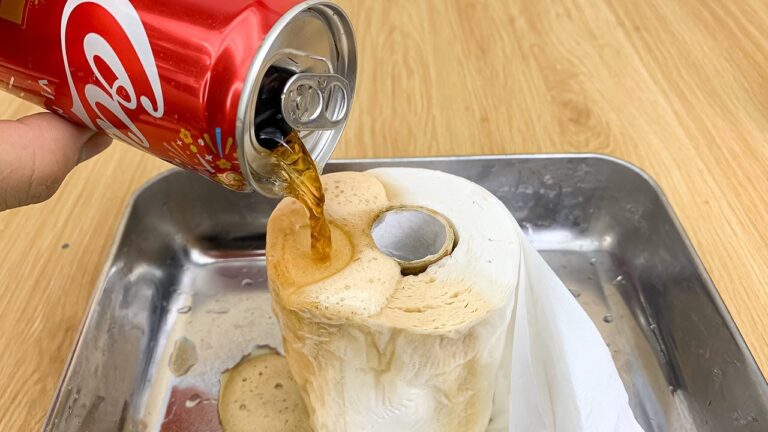 10 astuces pour gagner de l&rsquo;argent avec Coca-Cola et du papier toilette !