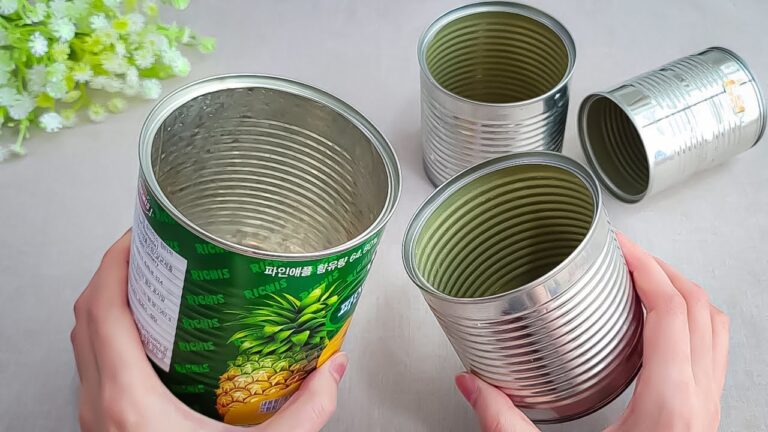 Transformez 10 boîtes de conserve vides en idées rentables et créatives!