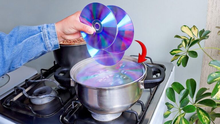 Découvrez 7 inventions révolutionnaires d&rsquo;un génie peu connu sur un vieux CD !