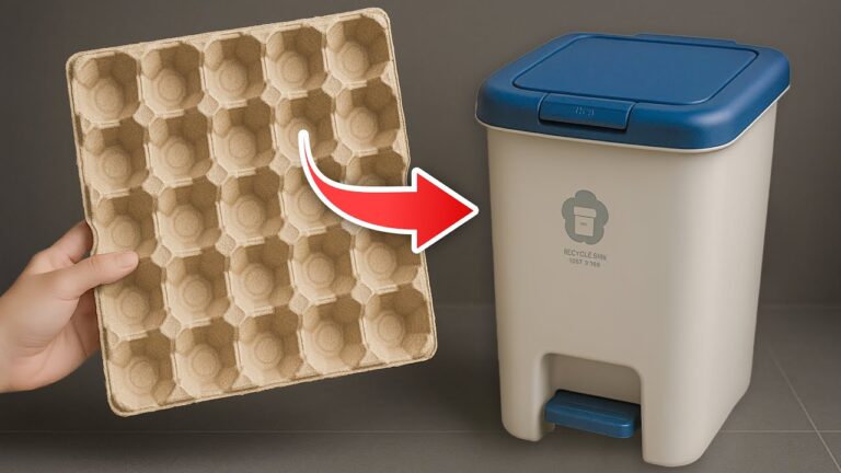 16 astuces géniales avec des cartons à œufs à découvrir absolument !