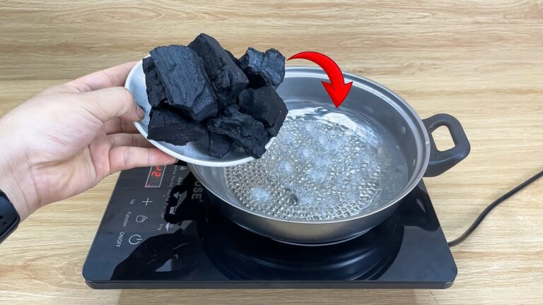 Découvrez 5 façons de gagner de l&rsquo;argent avec du charbon bouilli !