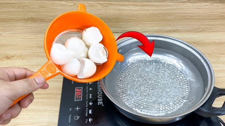 Transformez vos coquilles d&rsquo;œufs en 5 astuces rentables et étonnantes !