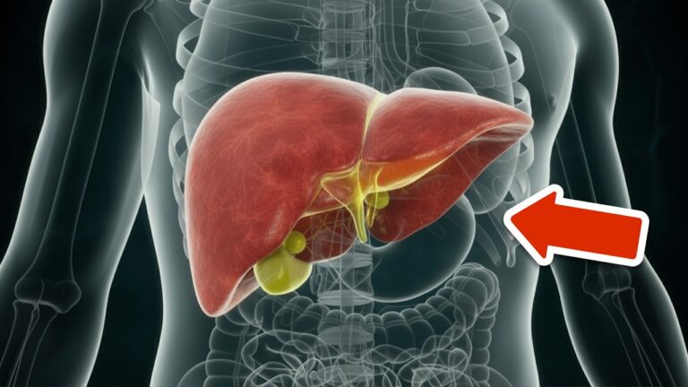 6 signes révélateurs que ta santé hépatique est en danger, découvre-les maintenant !