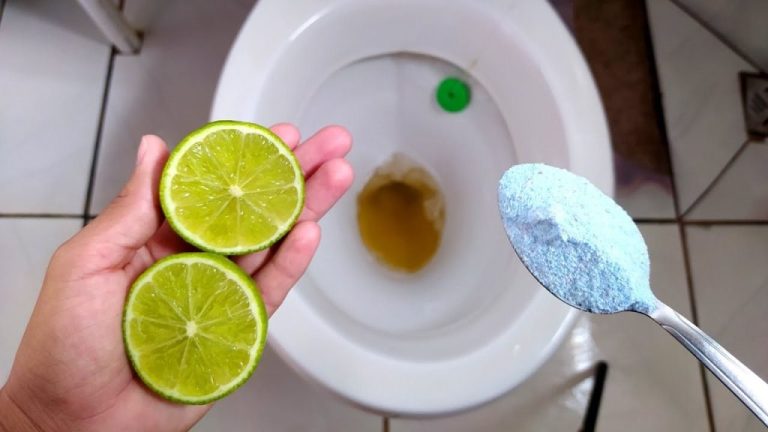 Adoptez cette astuce simple pour des toilettes impeccables pendant des semaines