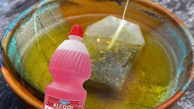 Trempez un sachet de thé dans l’alcool : découvrez le résultat surprenant