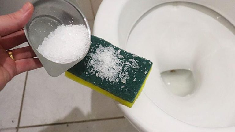Une méthode naturelle pour une salle de bain toujours fraîche sans dépenser