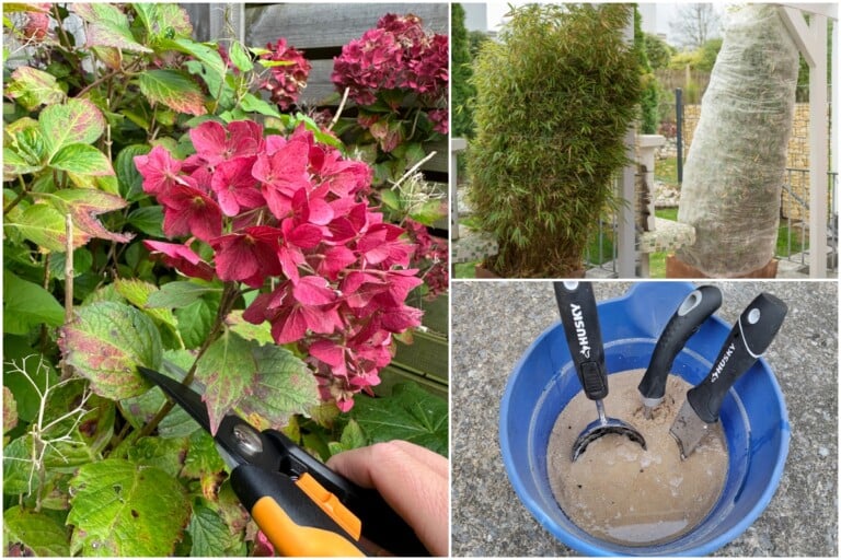 10 Erreurs à Éviter au Jardin en Automne pour un Printemps Réussi