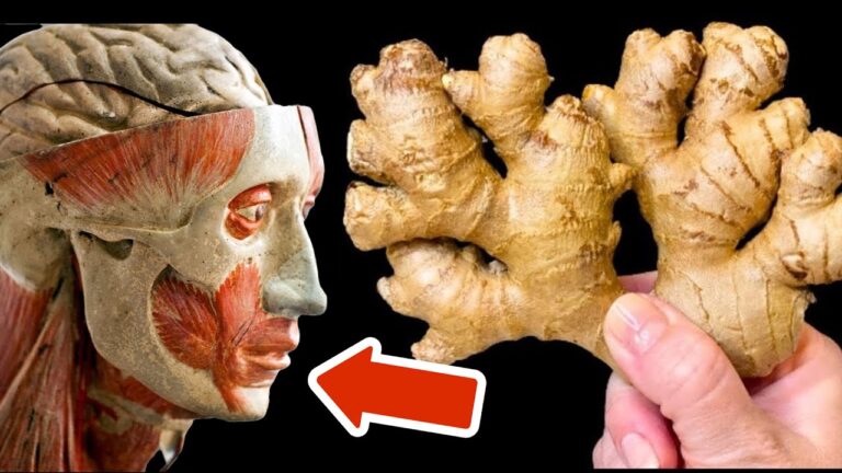 Découvre 7 bienfaits incroyables de l&rsquo;gingembre à consommer chaque jour !