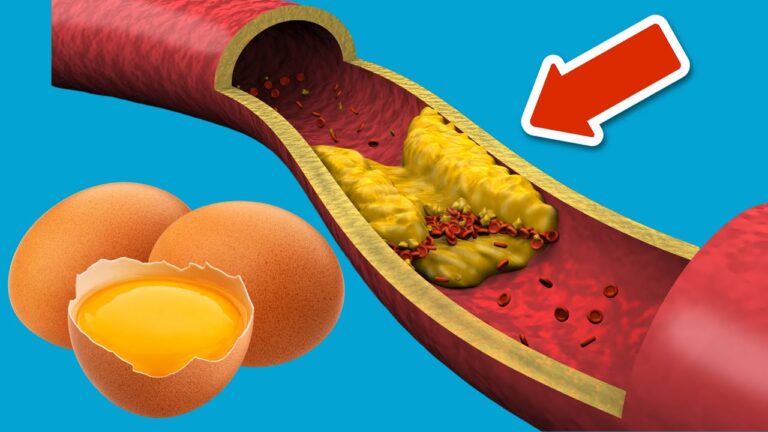 Eiers Geheimnisse: 5 Erkenntnisse über Cholesterin, die du nicht verpassen solltest!