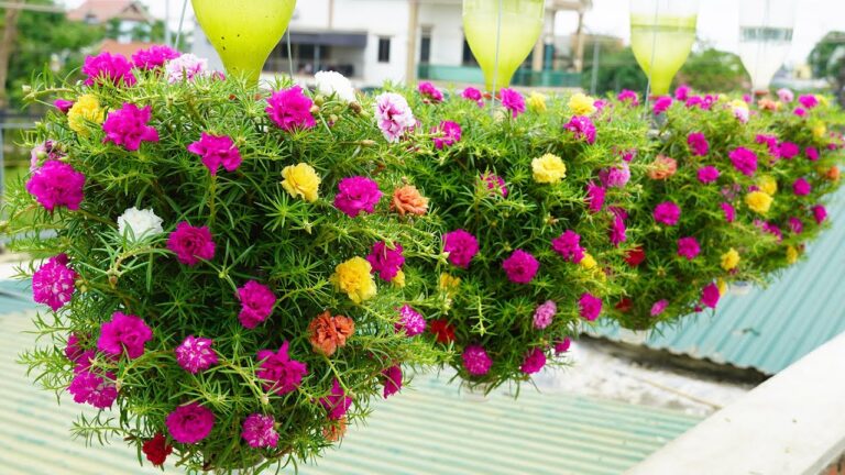 Transforme 5 bouteilles en plastique en un jardin suspendu éblouissant !