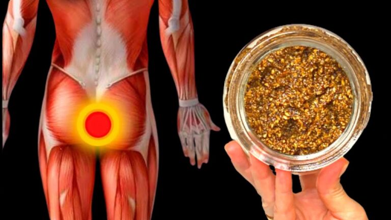 Restaurez votre vitalité à 60 ans : 2 aliments pour intestins et articulations !