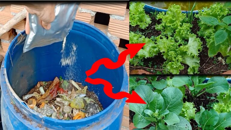 Transformez 5 déchets de cuisine en engrais bio pour vos plantes à la maison !