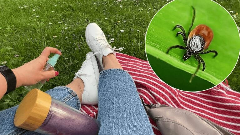 5 astuces pour éloigner les tiques grâce à leur pire ennemi naturel !