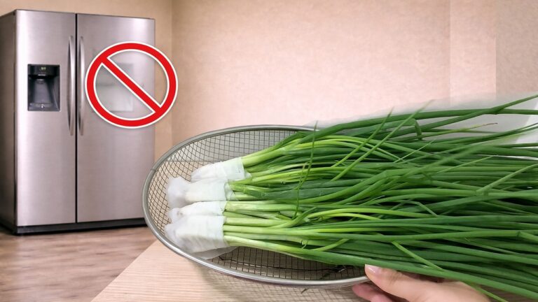 5 astuces pour garder vos oignons verts frais pendant un mois sans frigo !