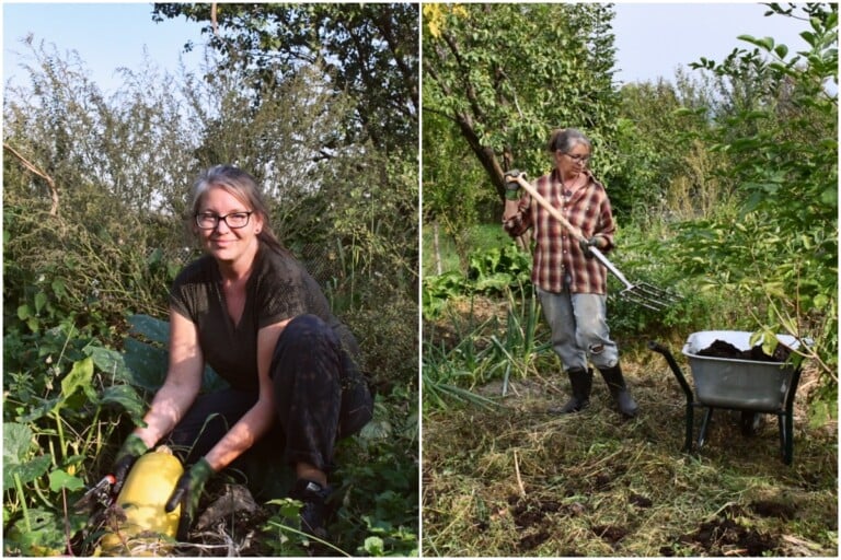 9 travaux d&rsquo;automne dans votre jardin sans creuser : semis, récolte, paillage et plus