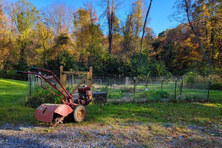 C&rsquo;est décidé ! Nous préparons notre jardin sans travail du sol cet automne